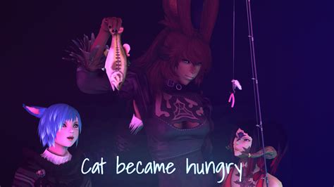 ff14 cat became hungry|Iba pa.